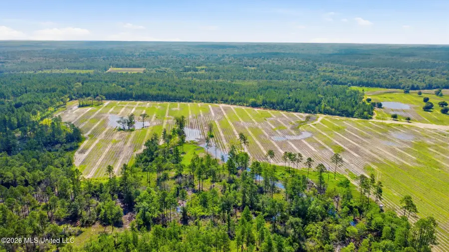 90 Ac Baxter Avenue, Lucedale, MS 39452 - #2