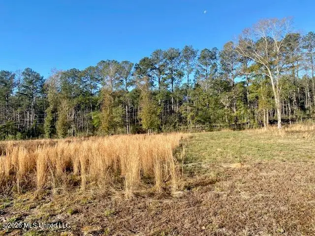 1169 Ole Springs Road, Summit, MS 39666 - #2