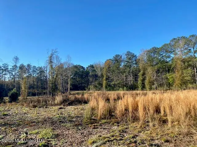 1169 Ole Springs Road, Summit, MS 39666 - #3