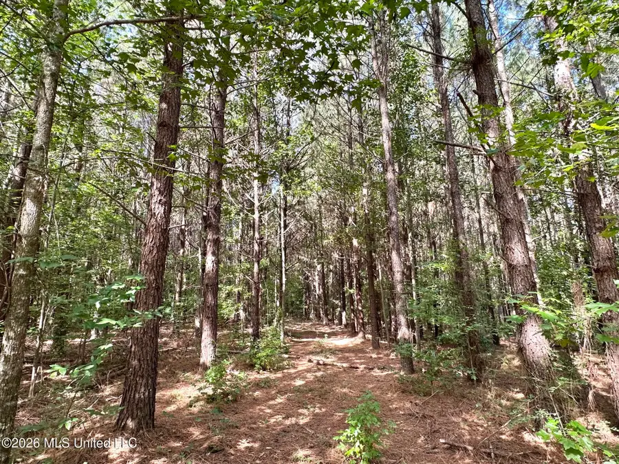 2 Dry Creek Road, Magee, MS 39111 - #2
