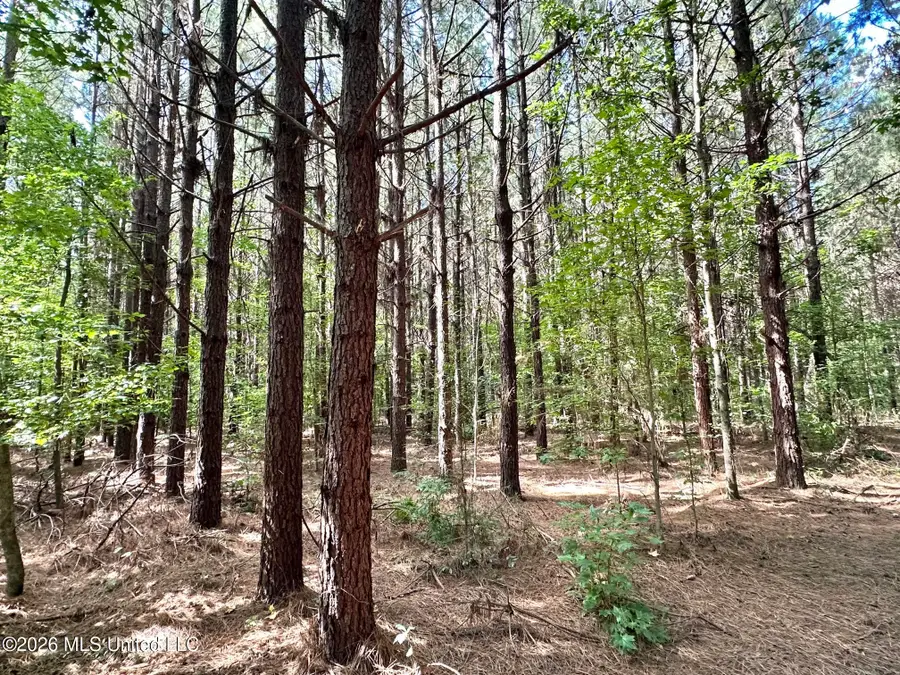 2 Dry Creek Road, Magee, MS 39111 - #3