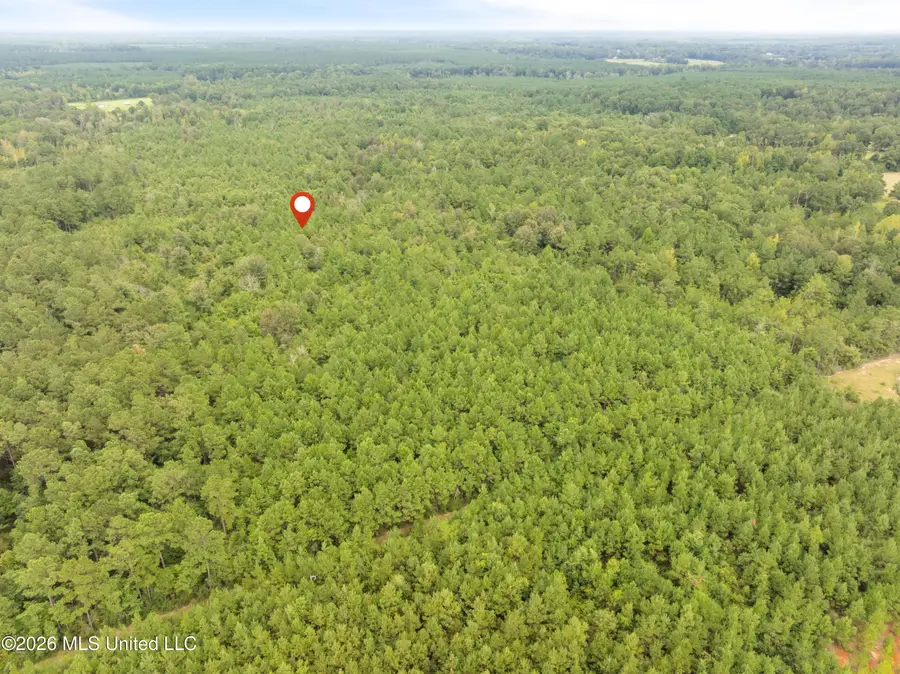 2705 Pilgrims Rest Road, Magnolia, MS 39652 - #3