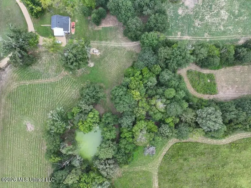 232 Renfroe Road, Canton, MS 39046 - #3