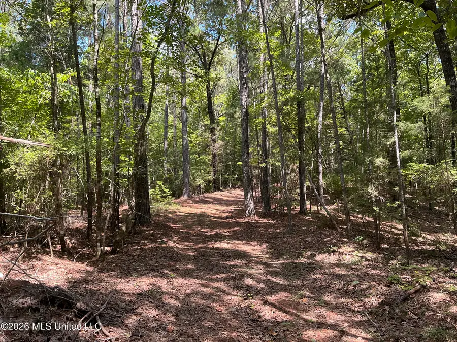 Seymour Rd S Seymour Road, Kilmichael, MS 39747 - #3