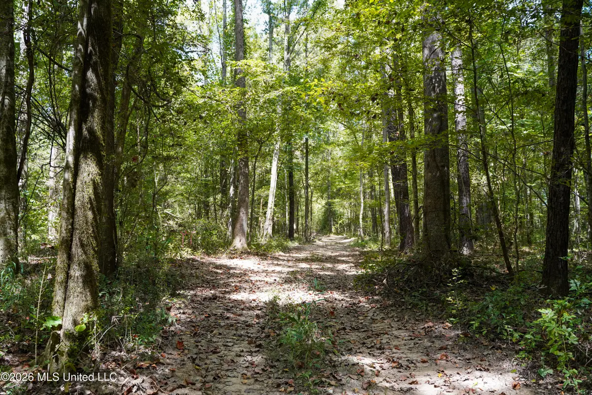 Mcintyre Road, Brandon, MS 39042 - #1