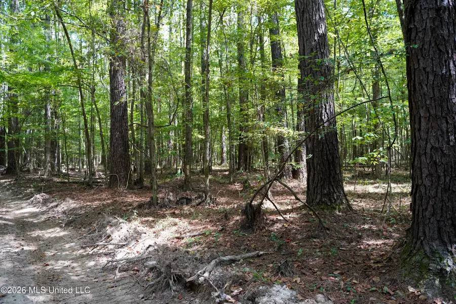 Mcintyre Road, Brandon, MS 39042 - #3