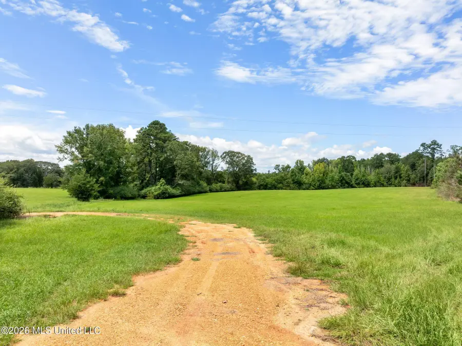 32 Kenna Road, Summit, MS 39666 - #3