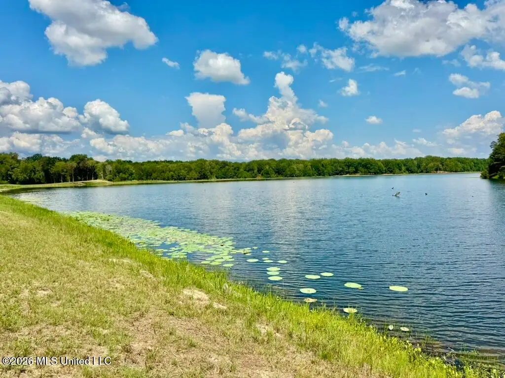 00114 Pocahontas Road, Flora, MS 39071 - #1