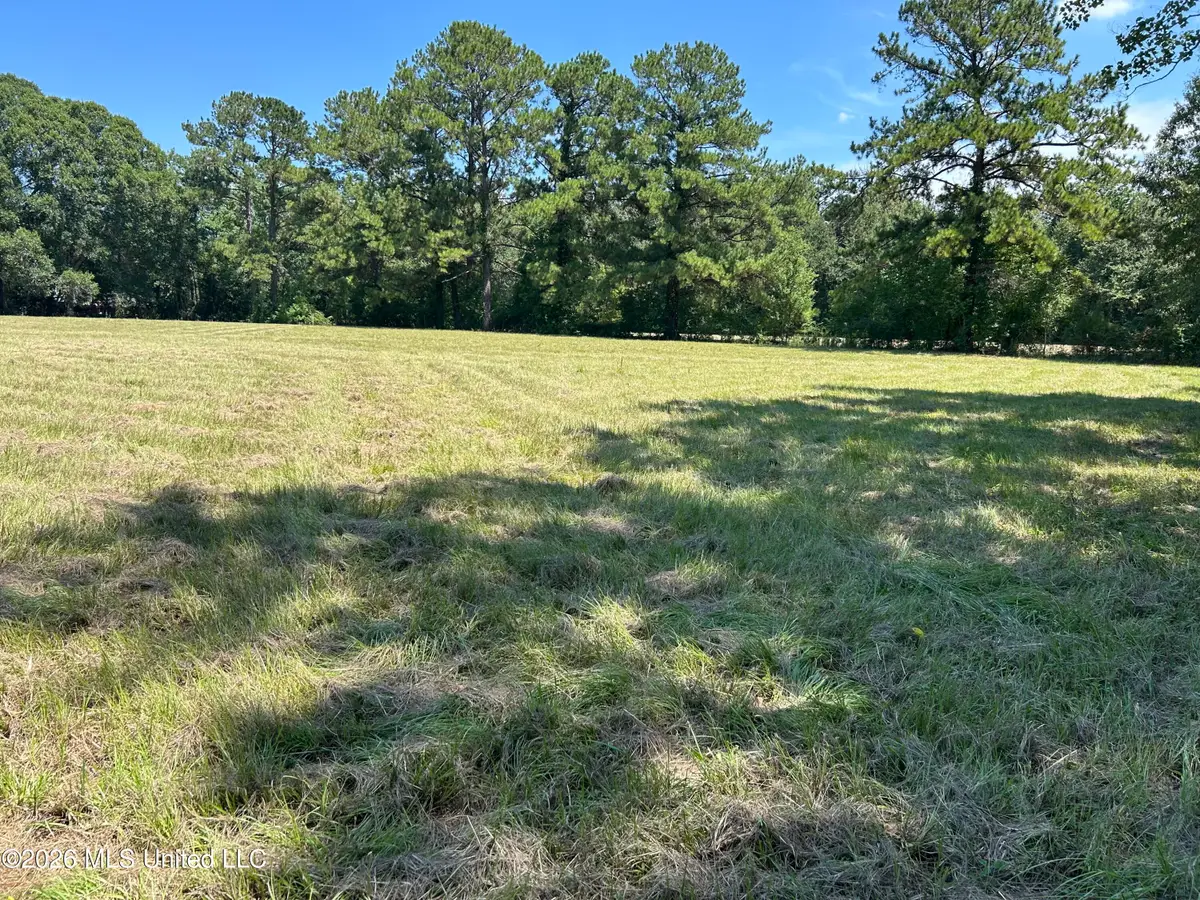 Marcus Mitchell Road, Picayune, MS 39466 - #1