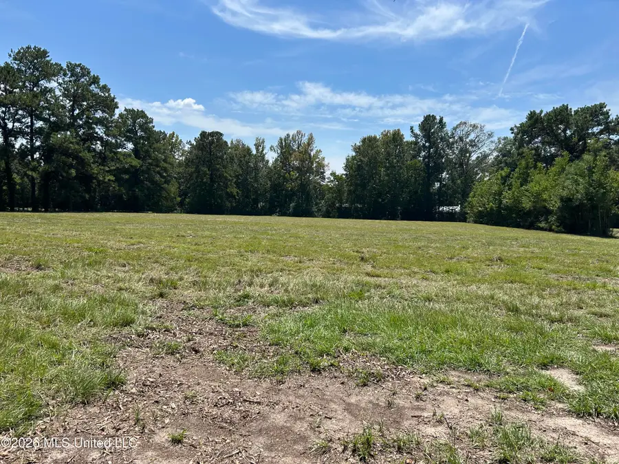 Marcus Mitchell Road, Picayune, MS 39466 - #2
