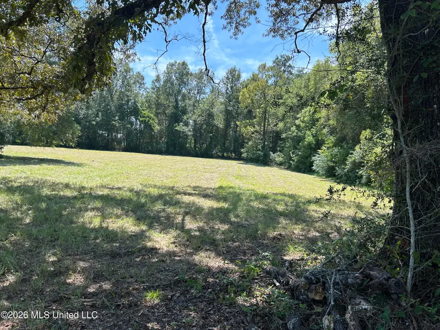 Marcus Mitchell Road, Picayune, MS 39466 - #3