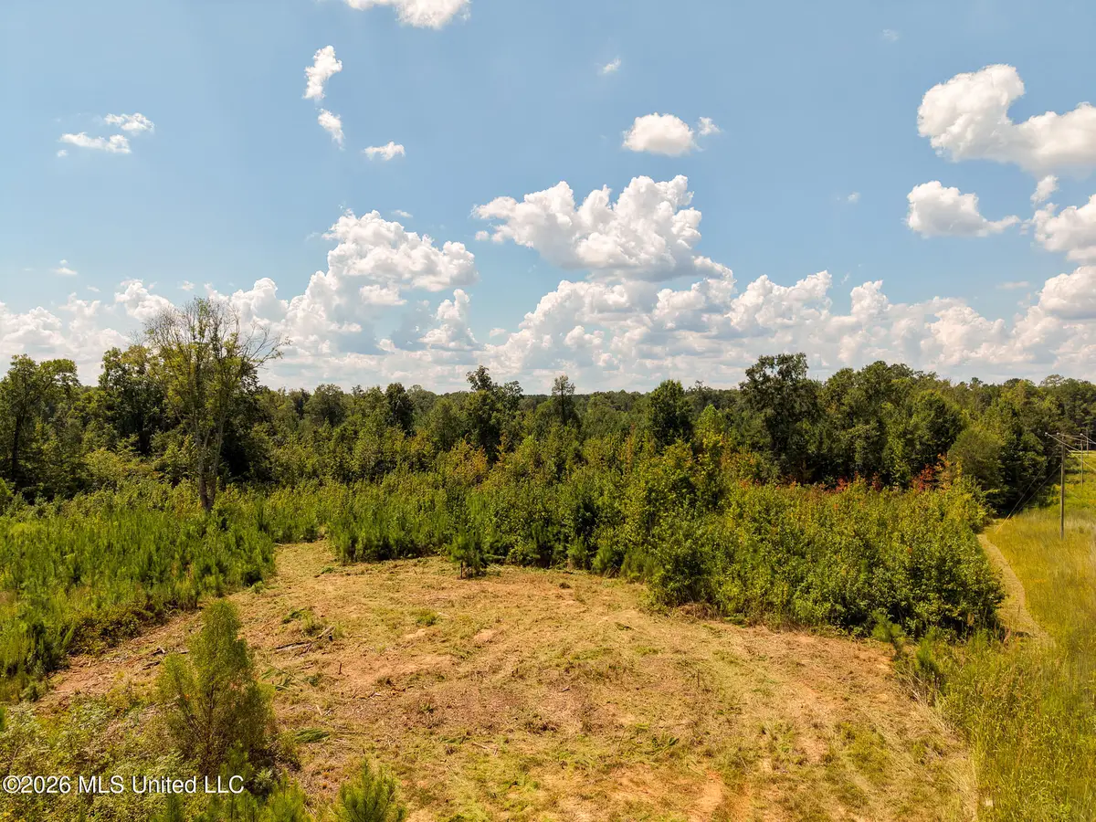 Slick Parker Road, Noxapater, MS 39346 - #1
