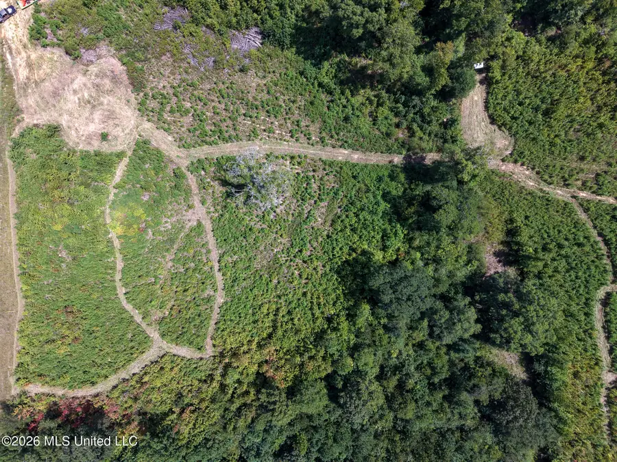 Slick Parker Road, Noxapater, MS 39346 - #3