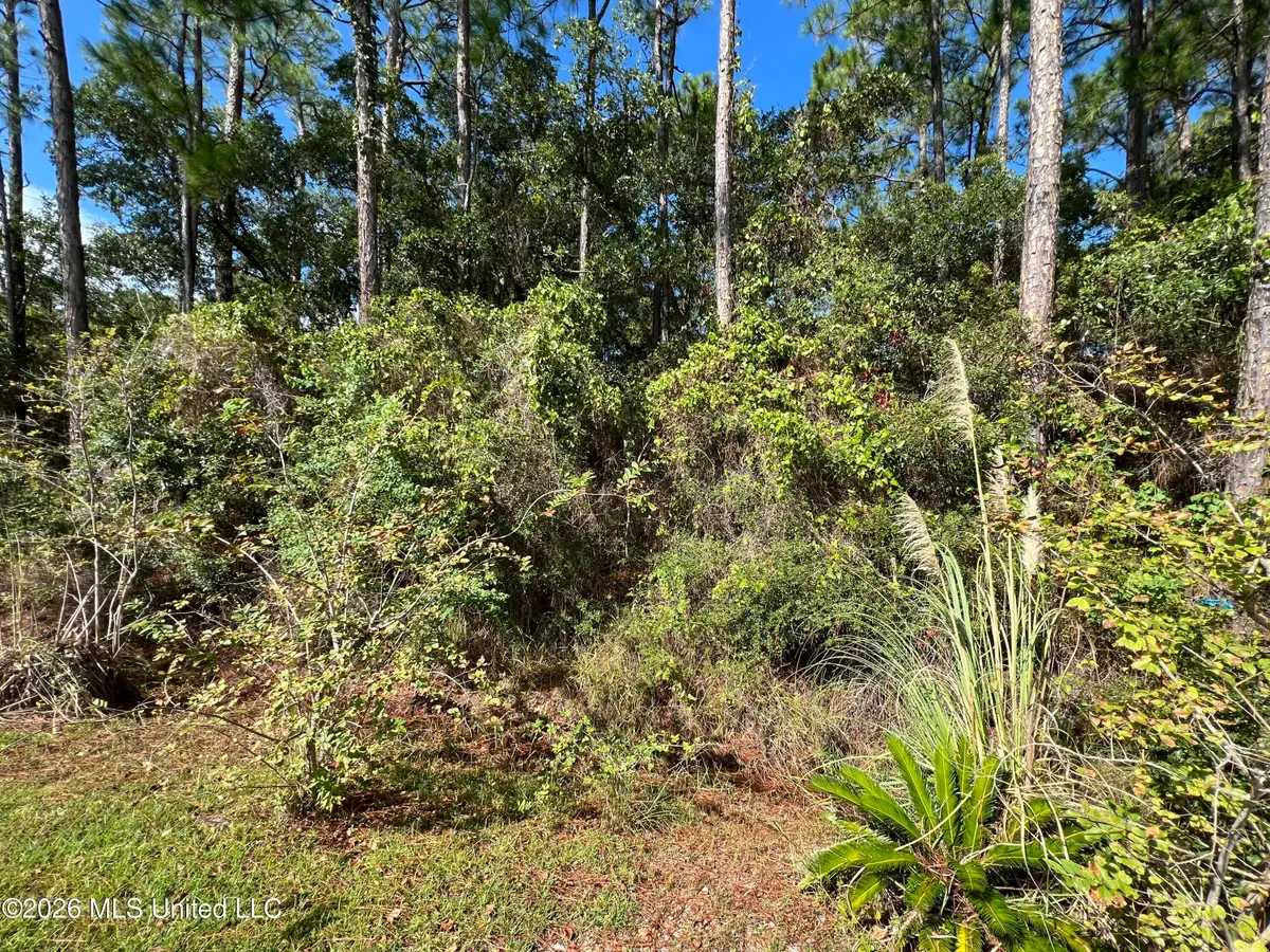Pinewood Drive, Pass Christian, MS 39571 - #1