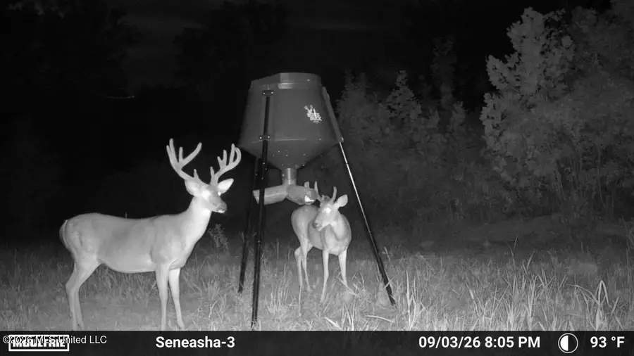 Cr 4001, Goodman, MS 39079 - #3