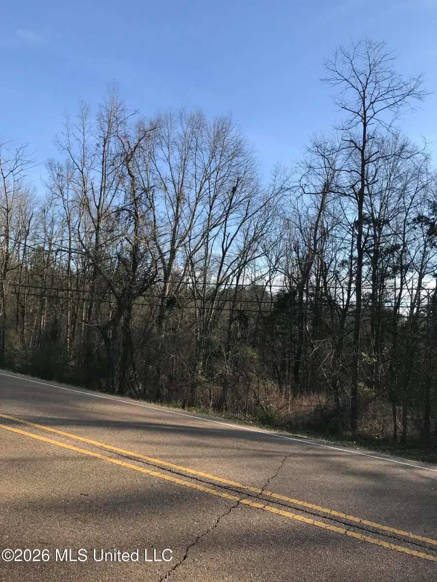 Old Vicksburg Road, Clinton, MS 39056 - #3