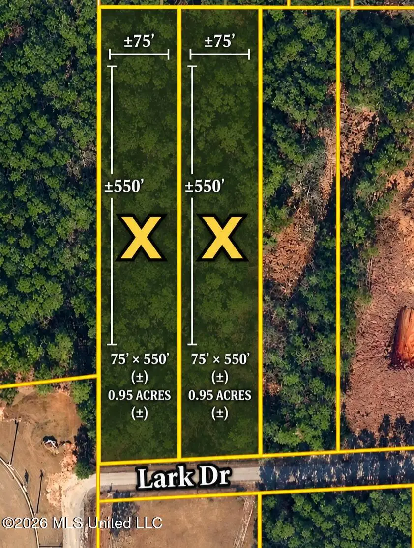 Lark Drive, Gautier, MS 39553 - #1