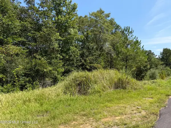 3.7 Acres Beesley Road, Lucedale, MS 39452
