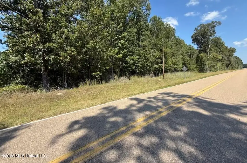 Jims Road, Lena, MS 39094 - #1
