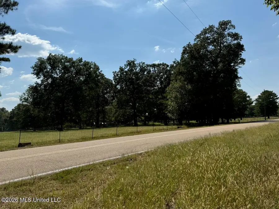 Jims Road, Lena, MS 39094 - #2