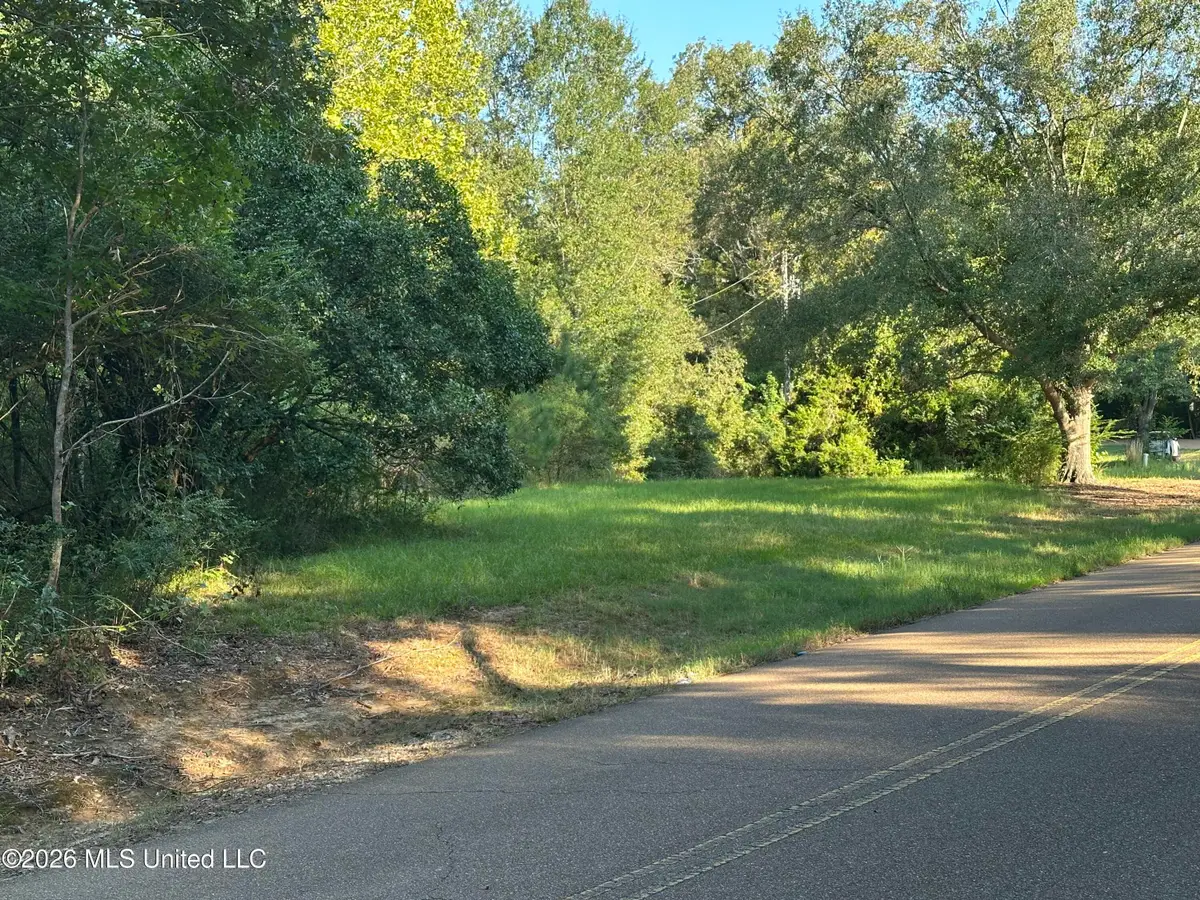 895 Burnt House Road, Vicksburg, MS 39180 - #1