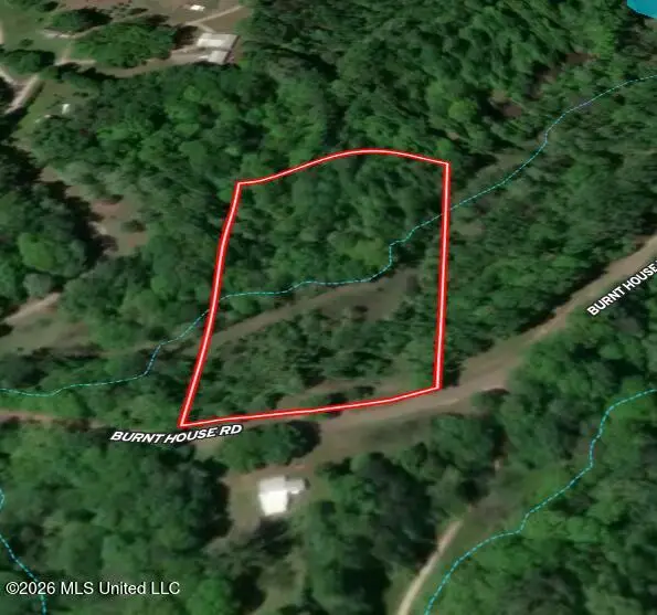 895 Burnt House Road, Vicksburg, MS 39180 - #3