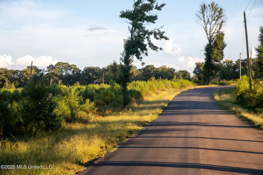 Owen Boone Road, Puckett, MS 39042 - #3