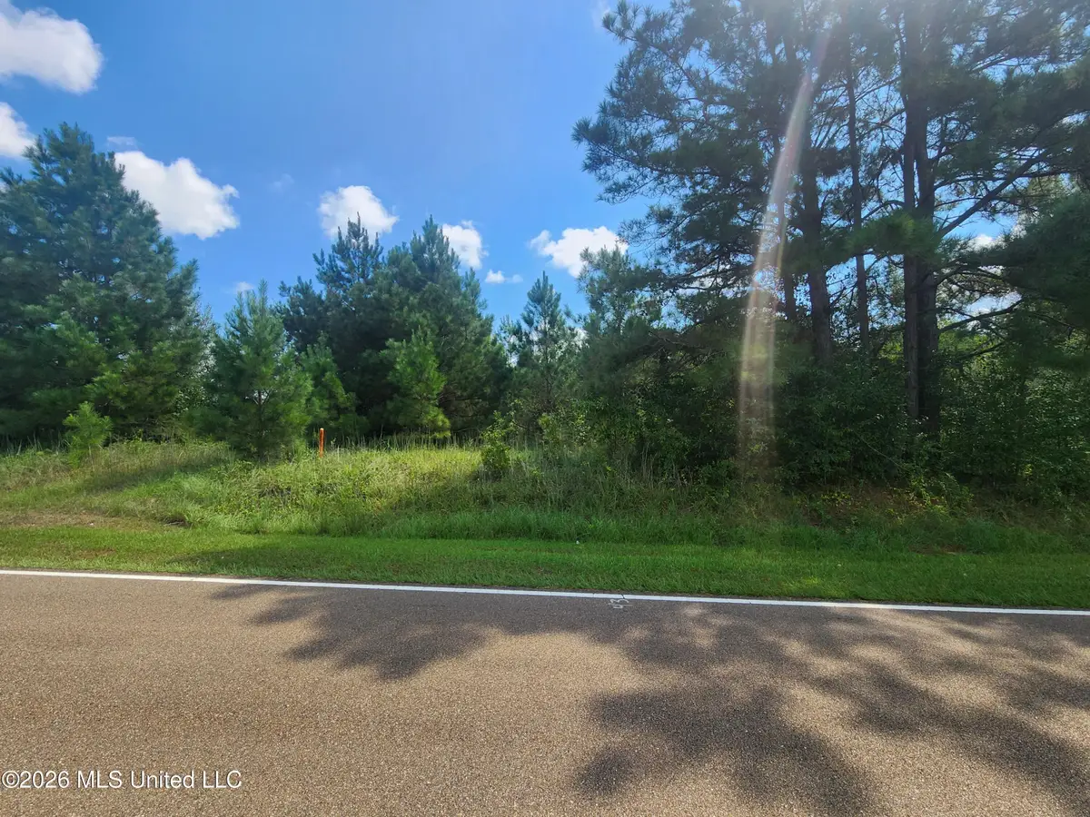 NE Old Hwy 51, Wesson, MS 39191 - #1