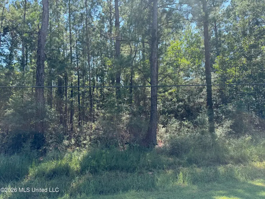 E Itawamba Street, Bay Saint Louis, MS 39520 - #2
