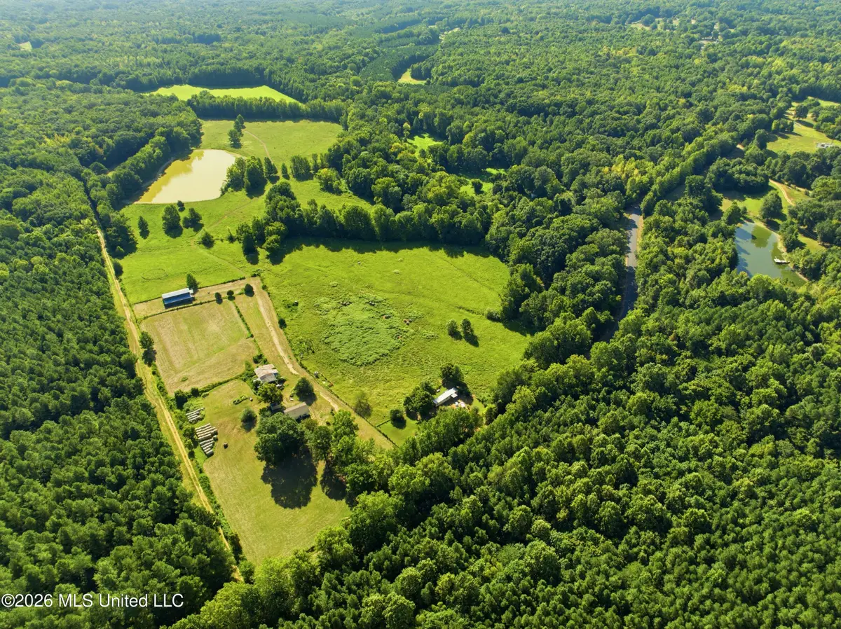 2208 Bend Road, Coldwater, MS 38618 - #1