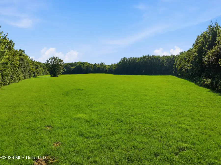 2208 Bend Road, Coldwater, MS 38618 - #3