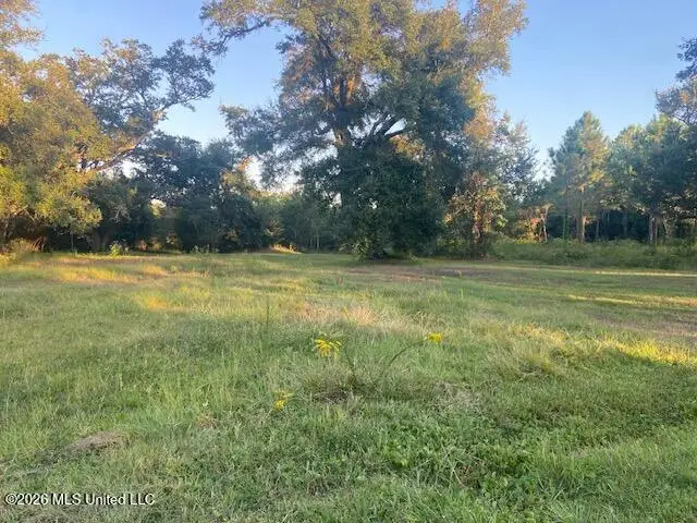 Sandy Hook Drive, Pass Christian, MS 39571 - #2