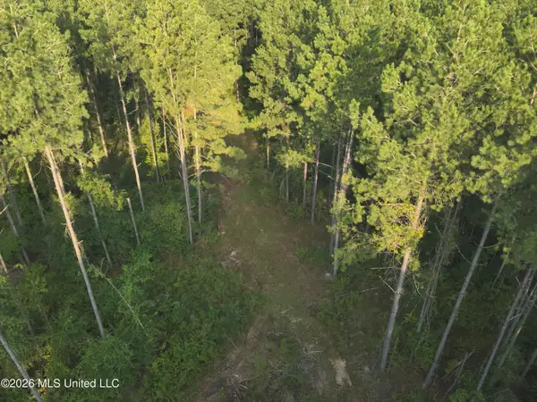 1178 Tolar Road, Oak Vale, MS 39656
