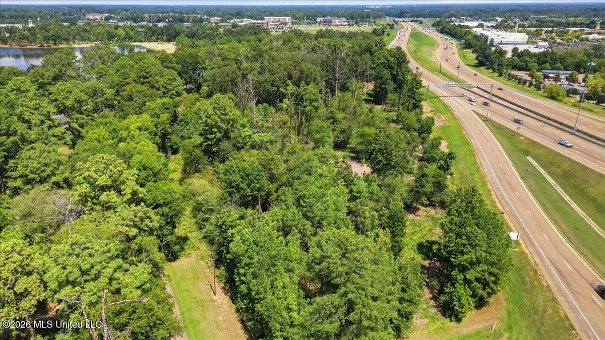 Lakeview Drive, Madison, MS 39110 - #1
