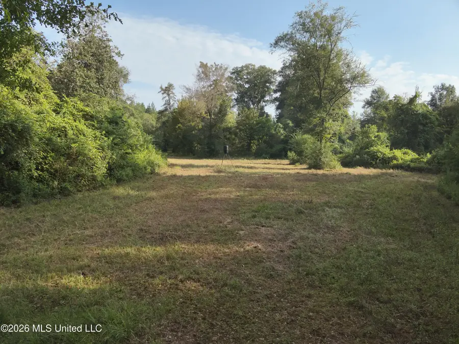 220 Ms-43, Oak Vale, MS 39656 - #2