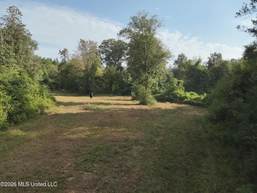 220 Ms-43, Oak Vale, MS 39656 - #3