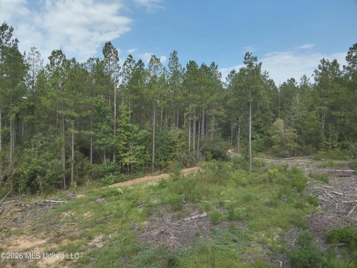769 Ms-43, Oak Vale, MS 39656 - #1