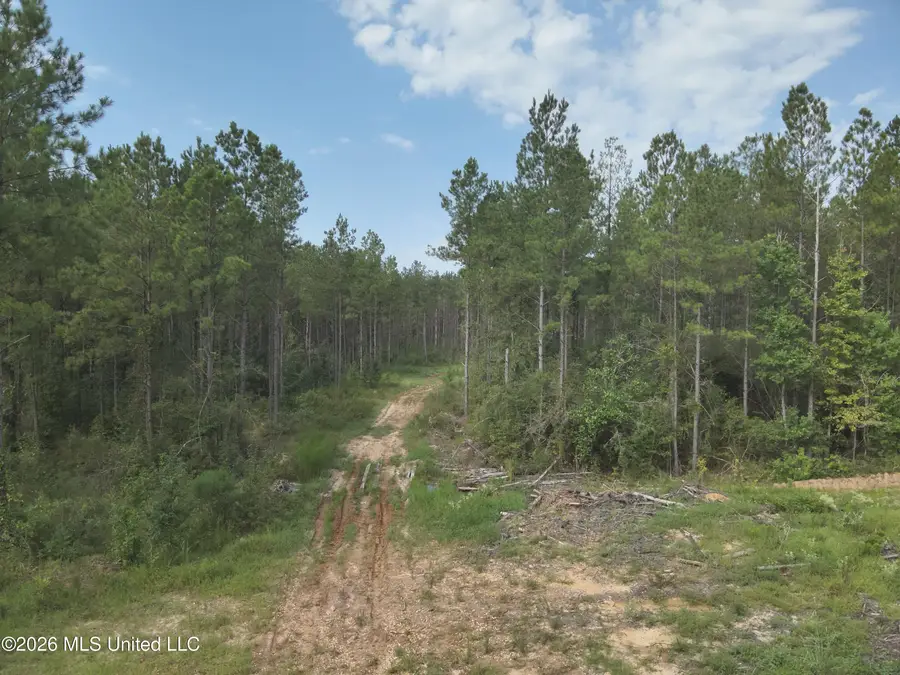 769 Ms-43, Oak Vale, MS 39656 - #2
