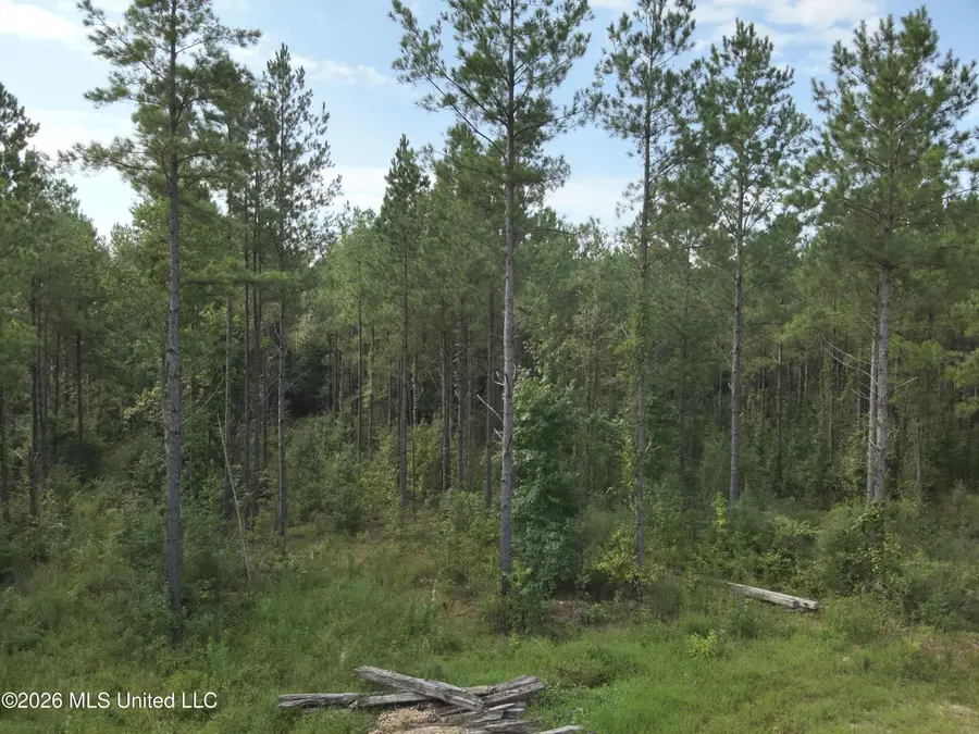 769 Ms-43, Oak Vale, MS 39656 - #3