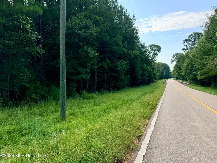838 Ms-43, Oak Vale, MS 39656 - #2