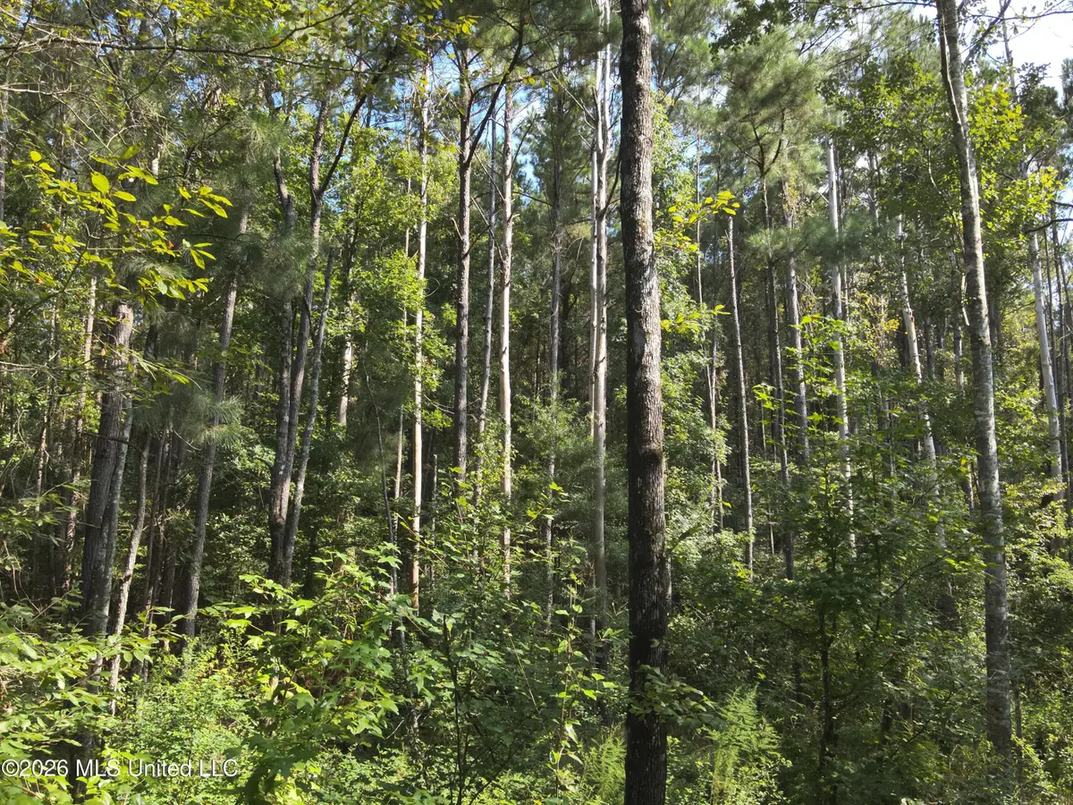 Jw Jones, Oak Vale, MS 39656 - #1