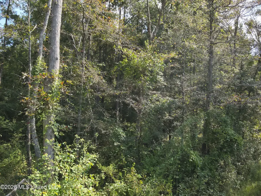 Jw Jones, Oak Vale, MS 39656 - #3