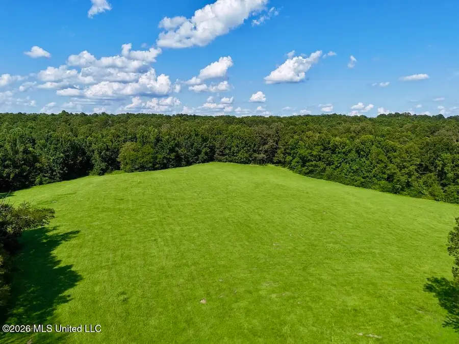 006 Monticello Road, Wesson, MS 39191 - #3