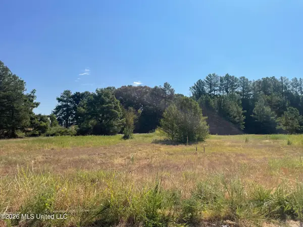577 Starlanding, Hernando, MS 38632