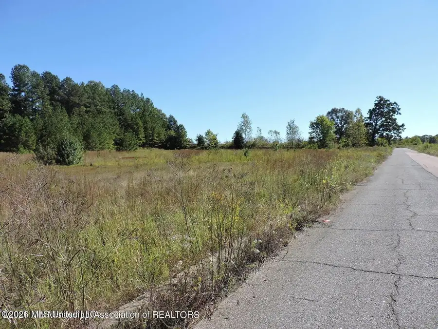 577 Starlanding, Hernando, MS 38632 - #2
