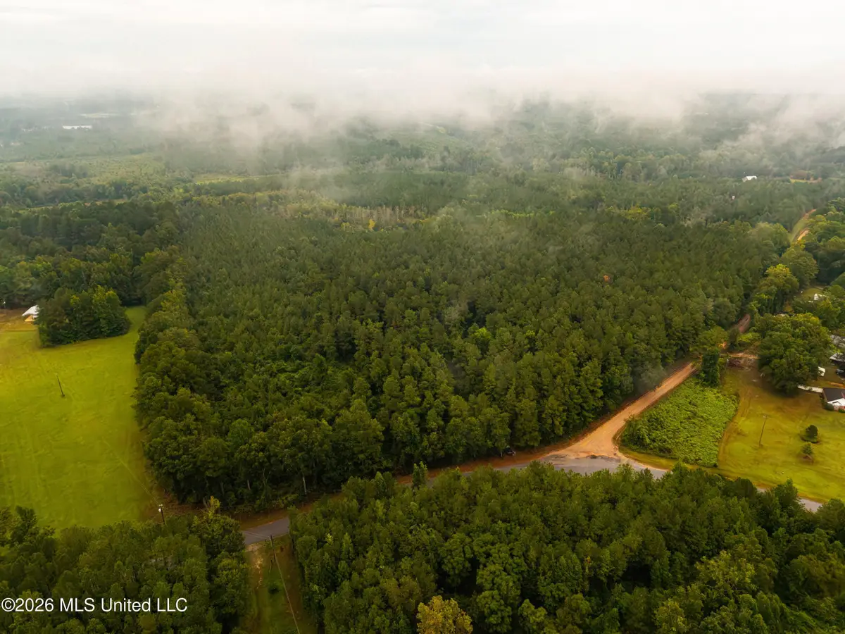 Lawrence Hazel Road, Lawrence, MS 39336 - #1