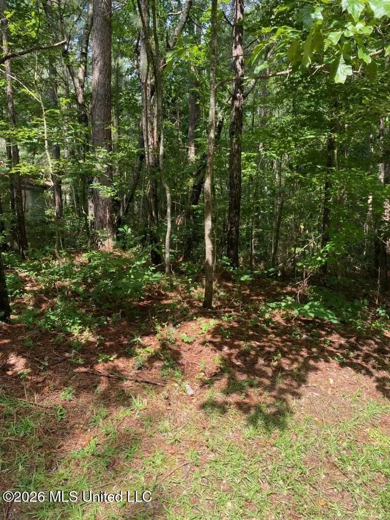 5 Stoneridge N, Hattiesburg, MS 39402 - #1