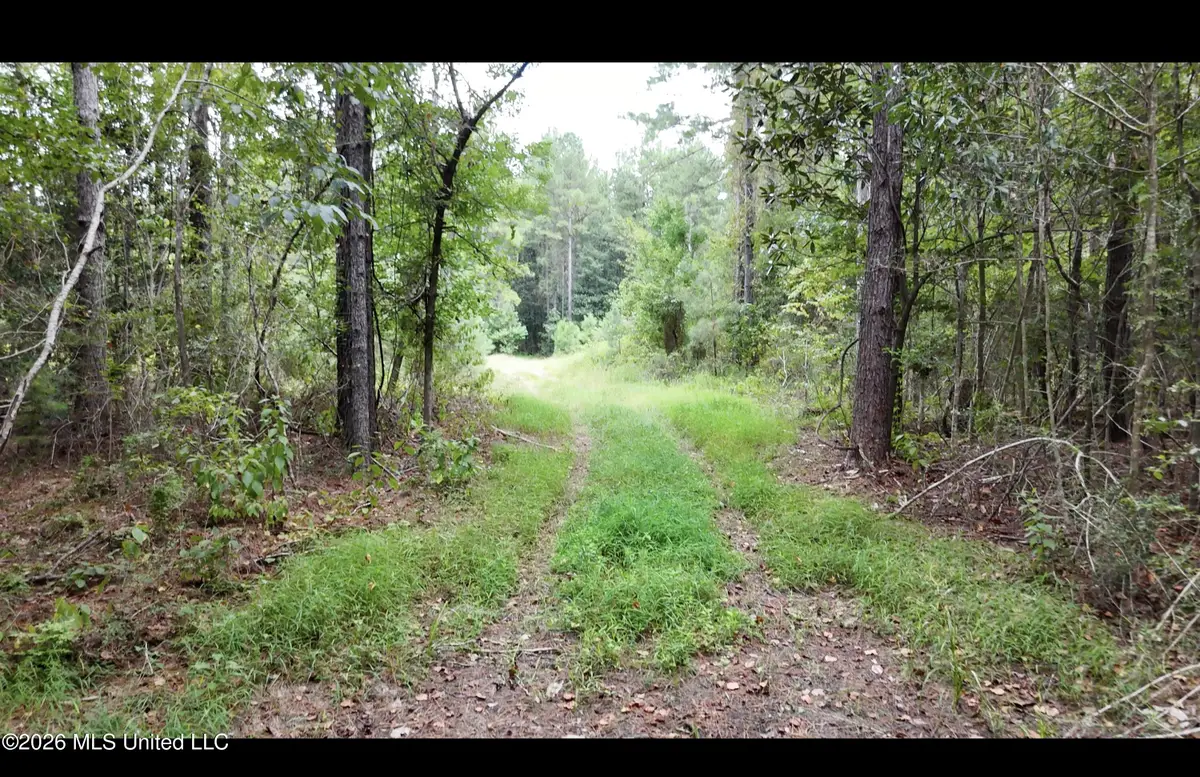 Frank Murphy Road, Lucedale, MS 39452 - #1