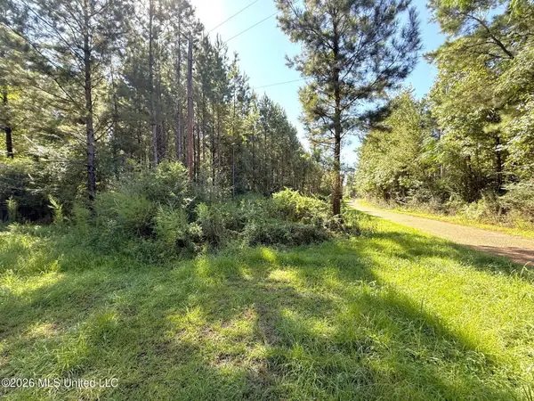 Bethel Road, Liberty, MS 39645