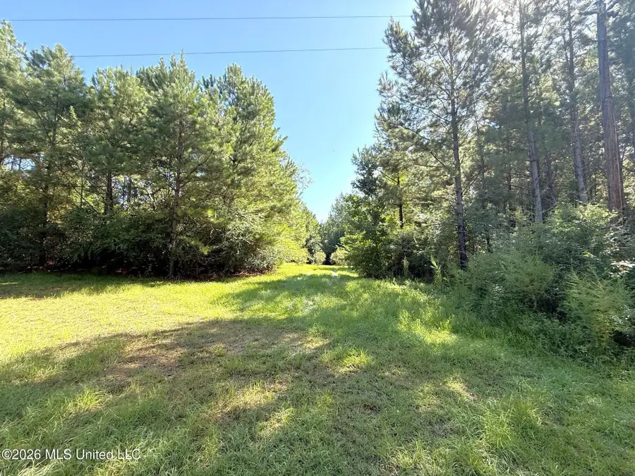 Bethel Road, Liberty, MS 39645 - #2